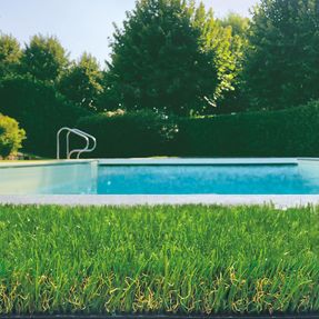 Tenax Scottish Synthetic Grass