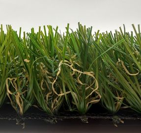 Tenax Scottish Synthetic Grass