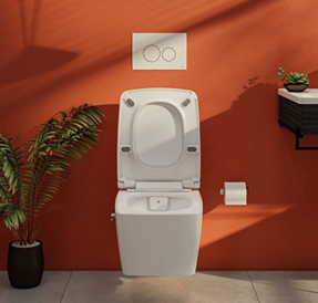 Vitra Origin Flush Plate