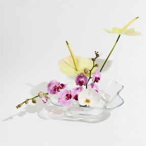 Iittala Alvar Aalto Collection Flower Bowl