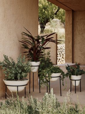 Audo Daiza Planter