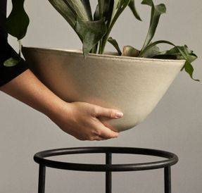Audo Daiza Planter