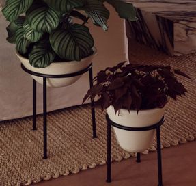 Audo Daiza Planter