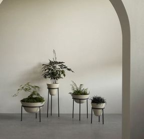 Audo Daiza Planter