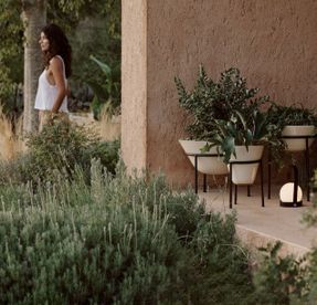 Audo Daiza Planter