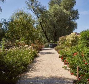 Ideal Work Stamped Concrete Flooring