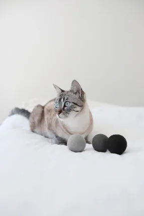 Miacara Globo Cat Toy Ball