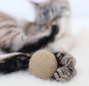 Miacara Globo Cat Toy Ball