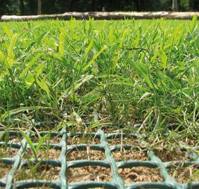 Tenax TR Lawn Reinforcement Net