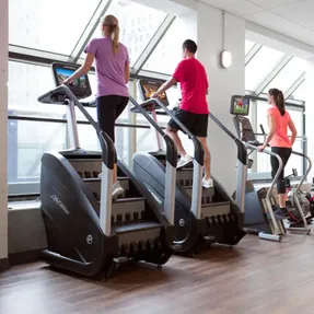 Lifespan Powermill Climber Stepper Machine