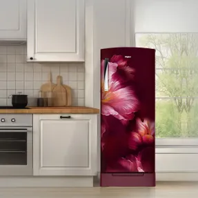 Whirlpool Icemagic Pro Plus 236l 3 Star Single Door Refrigerator With Base Drawer