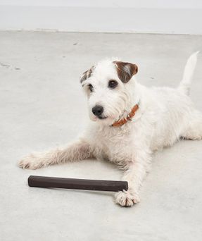 Miacara Ramo Fetch Toy