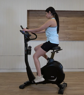 BH Fitness Artic Dual H674UB Exercise Bikes