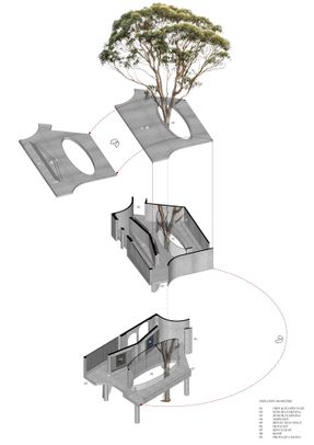 Gallery For A Tree "Flyover" Marcellin College
