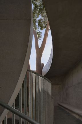 Gallery For A Tree "Flyover" Marcellin College
