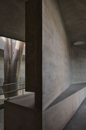 Gallery For A Tree "Flyover" Marcellin College