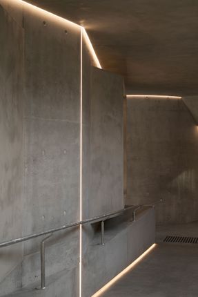 Gallery For A Tree "Flyover" Marcellin College
