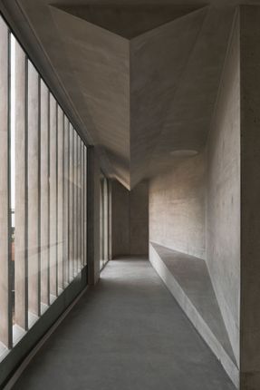 Gallery For A Tree "Flyover" Marcellin College