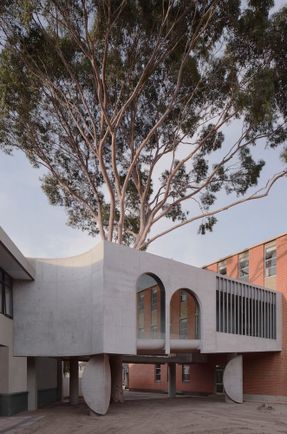 Gallery For A Tree "Flyover" Marcellin College