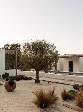 Comporta 10