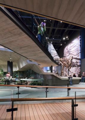 Natural History Museum Of Utah