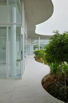 Amoeba 2.O Office