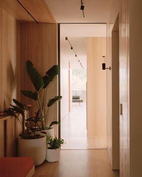 Elsternwick Penthouse