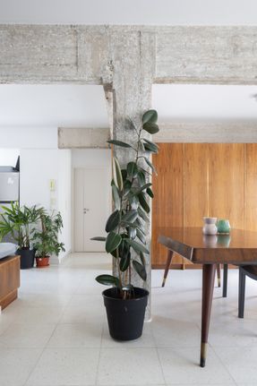 Renovation of Sofia's apartment