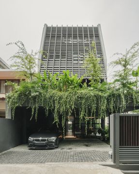 House of Endless Trees