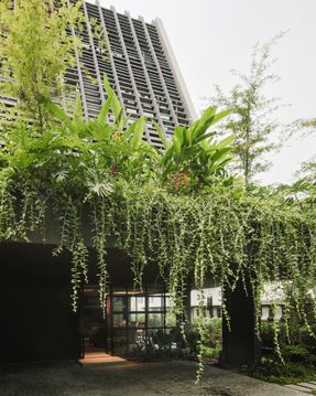House of Endless Trees