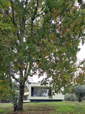 Bioclimatic House