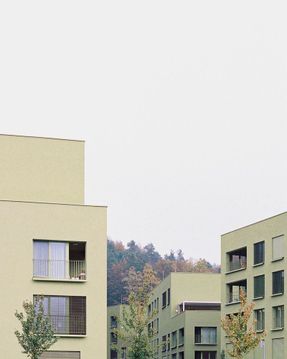 Housing Črnuški Bajer