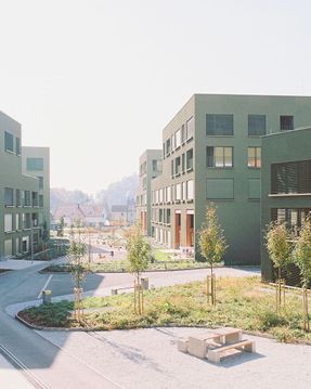 Housing Črnuški Bajer