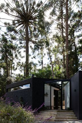 Araucarias House