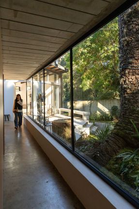 Araucarias House