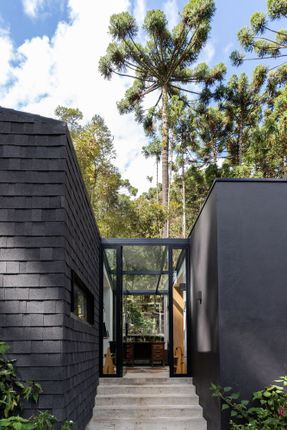Araucarias House