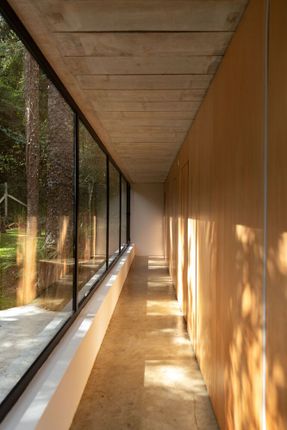 Araucarias House