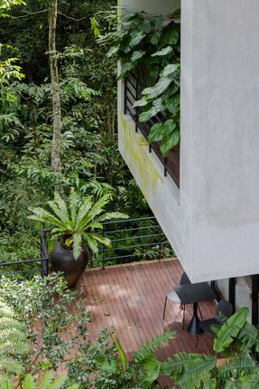 The Rainforest Residence