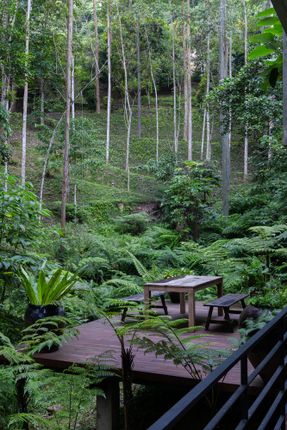 The Rainforest Residence