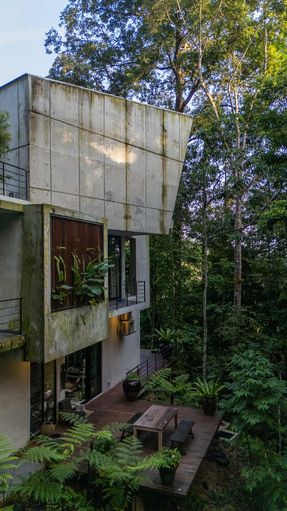 The Rainforest Residence