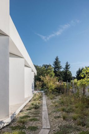 House With Gills