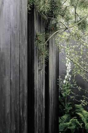 Koto Niwa Cabin