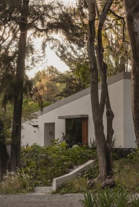 Malvas 59 Residence