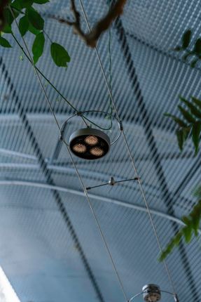 Renovation Design For The Metal Hands Coffee Youyi Store Garden Branch
