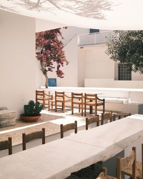 Concept Store & Bar 1oam Apotheke