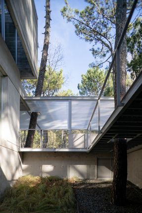 Choique House