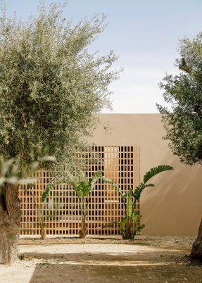 Patio House