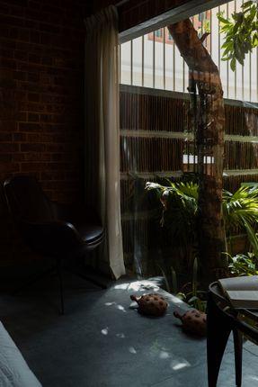 Of Trees and Gods and Mud House