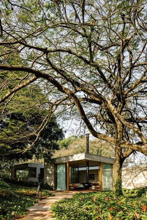 Bosque House