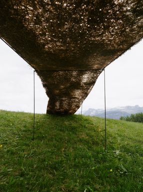 Trace Of Land